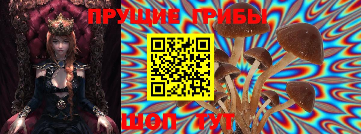 Галлюциногенные грибы Psilocybe  Вход с VPN  Кушва  дарнет шоп  Псилоцибиновые грибы Cubensis 